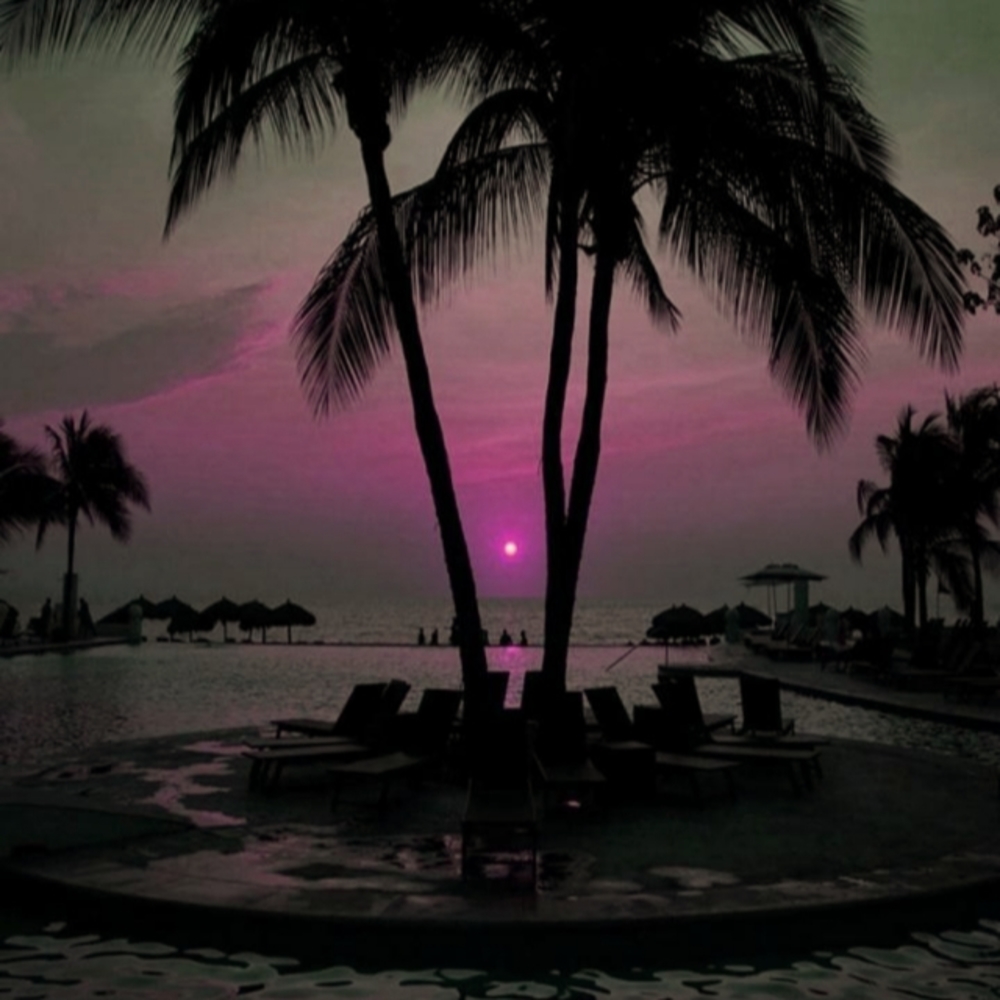 Meet your Posher, Reggie